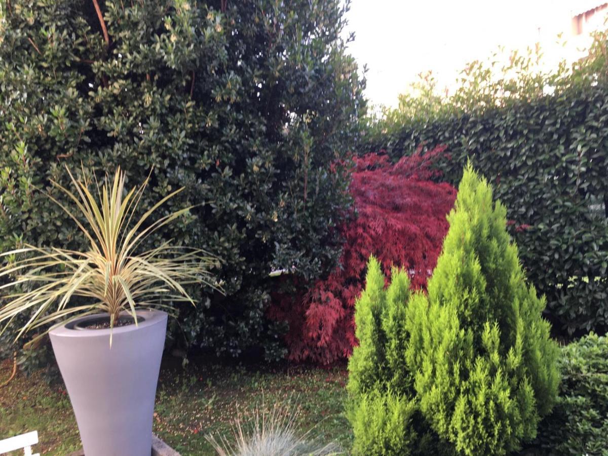 Residenza Il Fiore Bed and breakfast