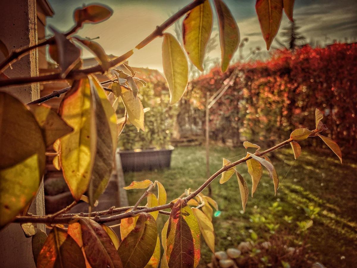 Residenza Il Fiore 2*